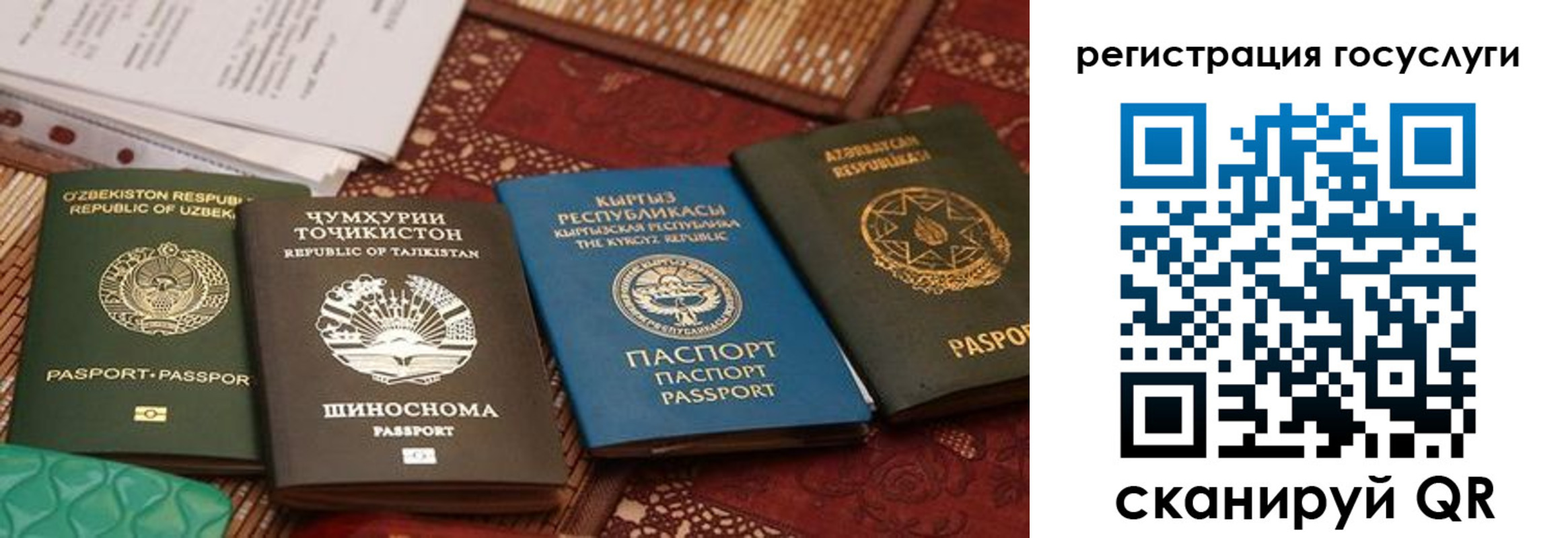 временная регистрация 2025 в Тихорецке